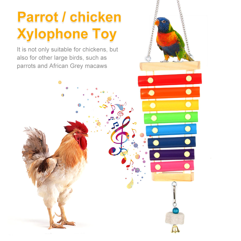 Bird Chicken Xylophone Toy Woo - Musical Instrument Harmonium ulasan dan harga